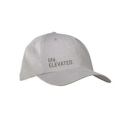 Life Elevated Dad Hat - Gray