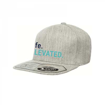 Life Elevated Heather Gray Snapback