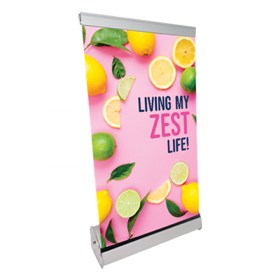 Mini Banner - Living My Zest Life